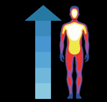 A heat-map figure of a warming body beside a rising arrow, representing passive warm-up
